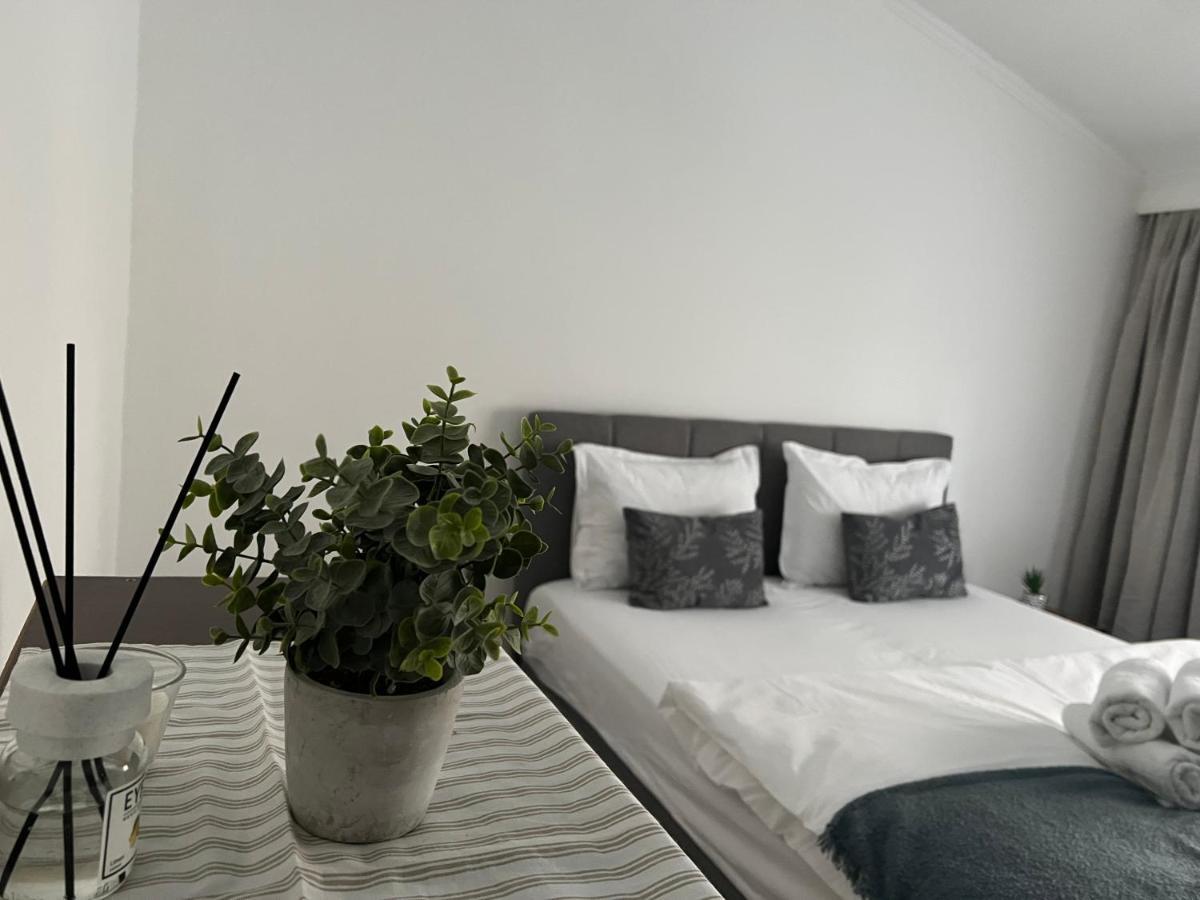 Green Holidays Cluj-Napoca Luaran gambar